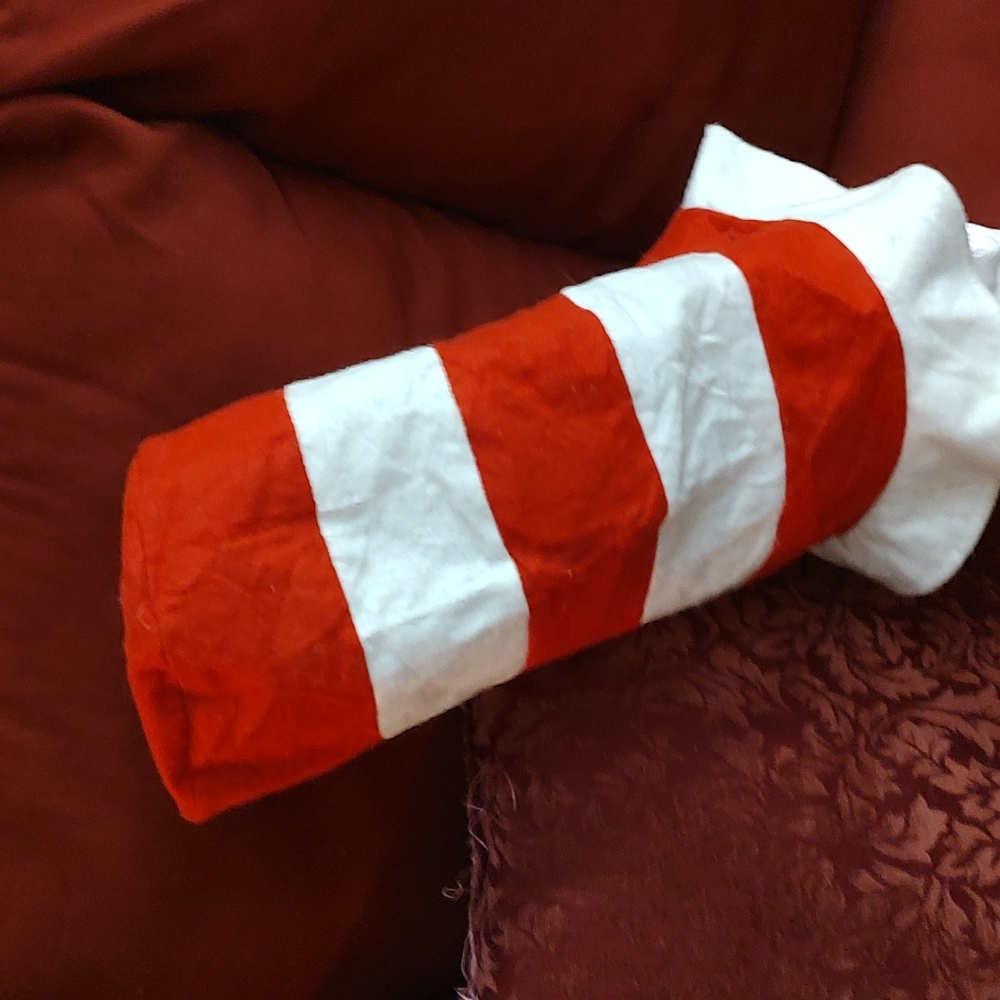 Hat Costume Cat & Hat Dr Seuss Fabric